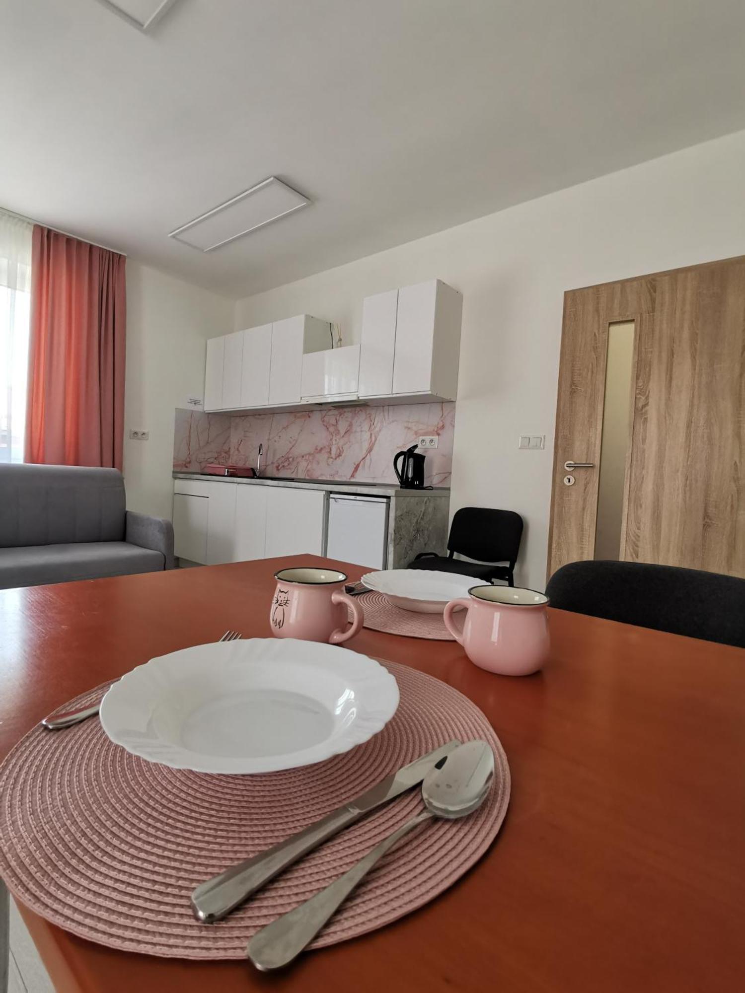 Comenius Apartments - Apartmány na rohu Svidnik Exterior foto
